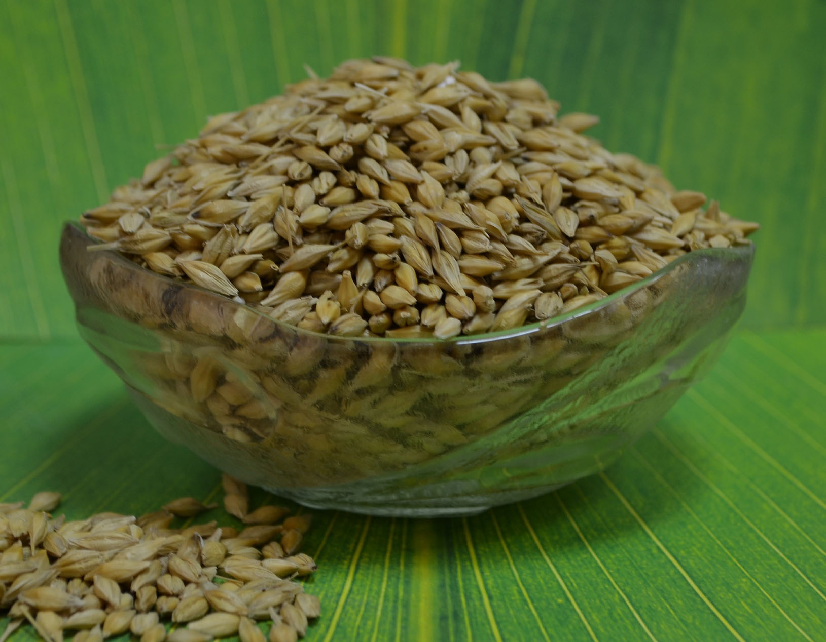 Barley grain  ― Products