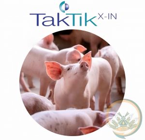 Підсолоджувач + біоактивні компоненти Taktik X-IN (ADM) ― Продукція