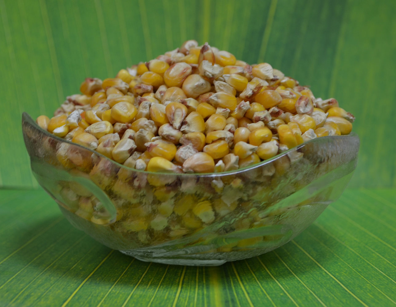 Зерно кукурудзи  ― Продукція